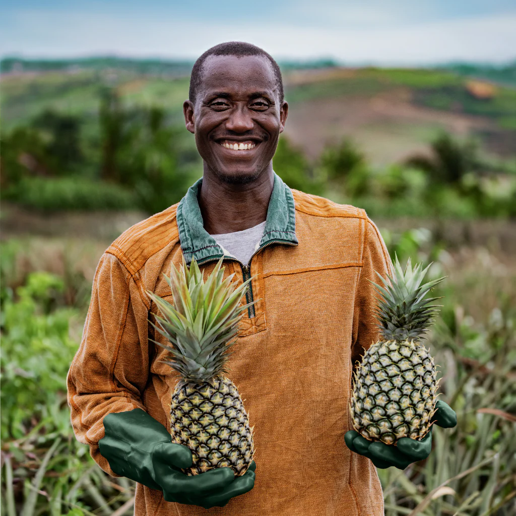 Ananas - ungezuckert - Image 4